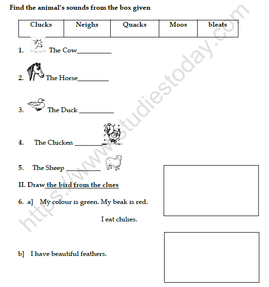 CBSE Class 3 English Bird Talk Worksheet