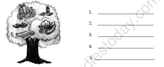 CBSE Class 3 English Little by Little Worksheet