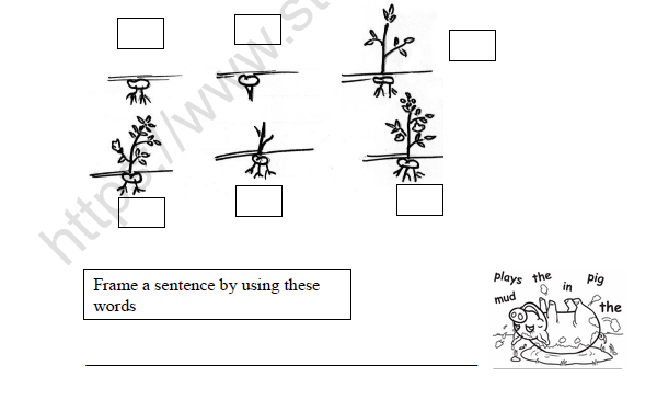 CBSE Class 3 English Little by Little Worksheet