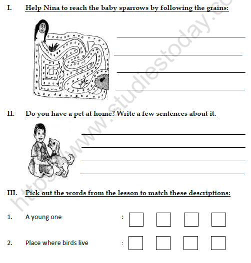 CBSE Class 3 English Nina and the baby sparrows Worksheet