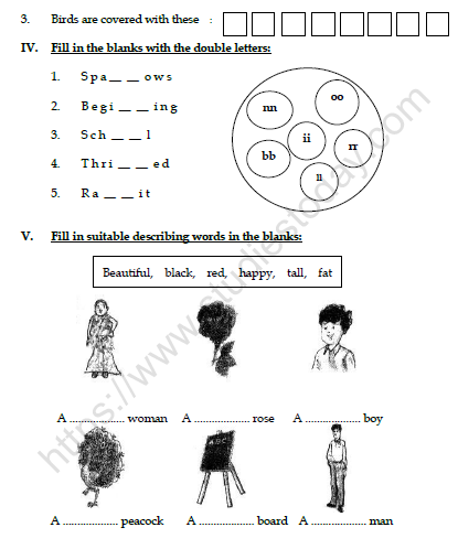 CBSE Class 3 English Nina and the baby sparrows Worksheet
