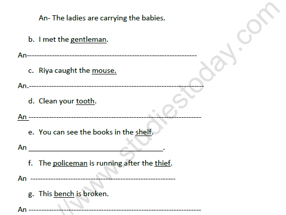 CBSE Class 3 English Singular and Plural Nouns Worksheet