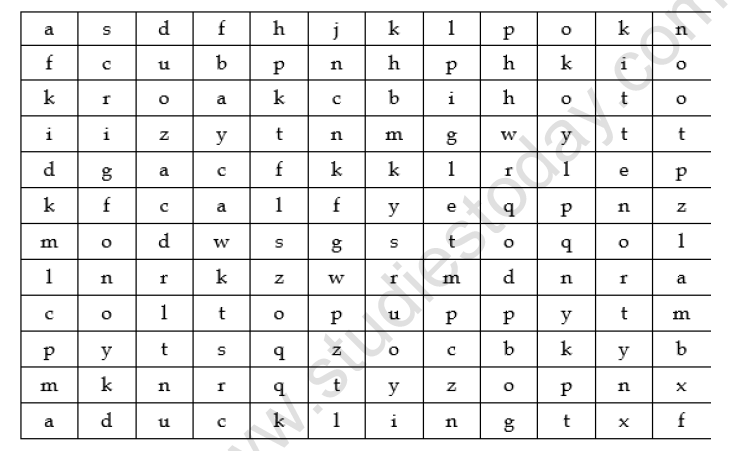 CBSE Class 3 English The Ship of the Desert Worksheet