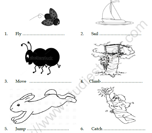 CBSE Class 3 English The Yellow Butterfly Worksheet