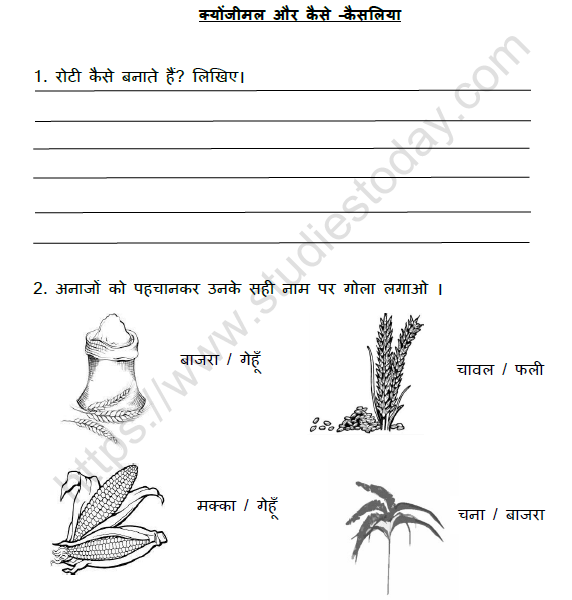 CBSE Class 3 Hindi क्योंजीमल और कैसे कैसलिया Worksheet