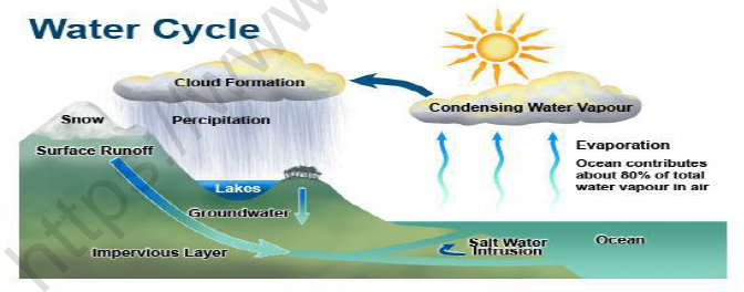 CBSE Class 4 EVS A Rivers Tale Worksheet