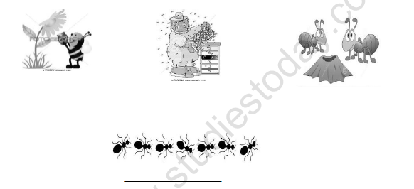 CBSE Class 4 EVS Anita and the Honeybeees Worksheet