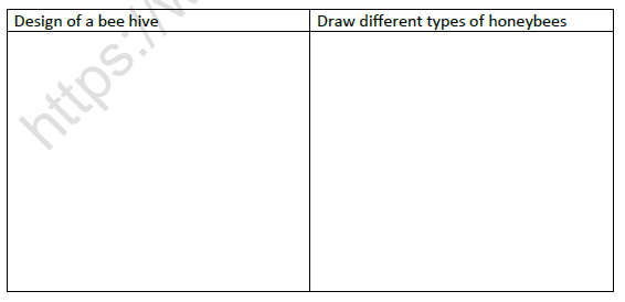 CBSE Class 4 EVS Anita and the Honeybeees Worksheet