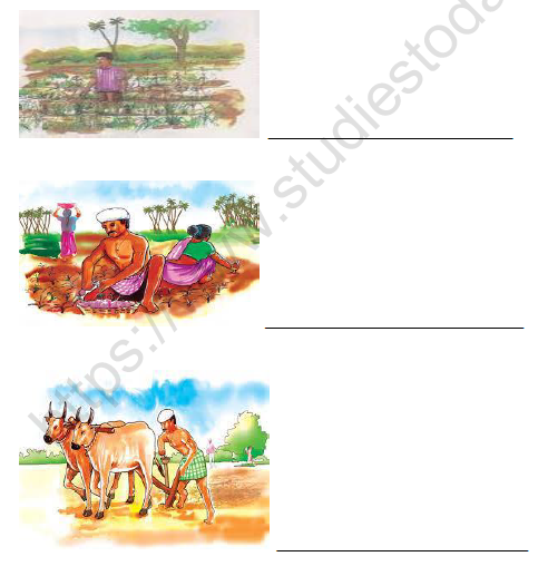 CBSE Class 4 EVS Basvas Farm Worksheet