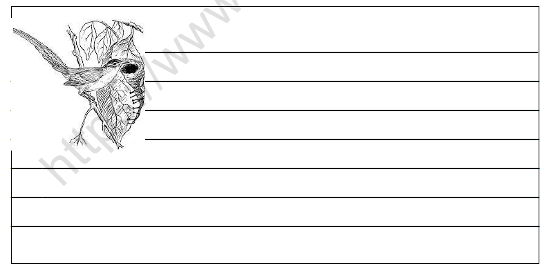 CBSE Class 4 EVS Busy Month Worksheet