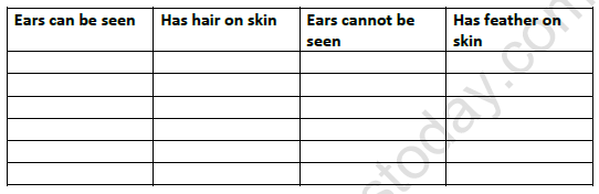 CBSE Class 4 EVS Ear to Ear Worksheet