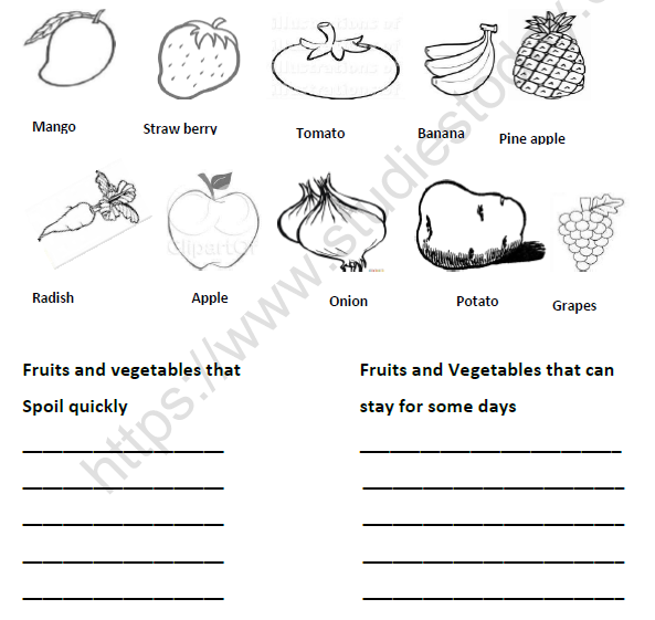 CBSE Class 4 EVS From Market to Home Worksheet