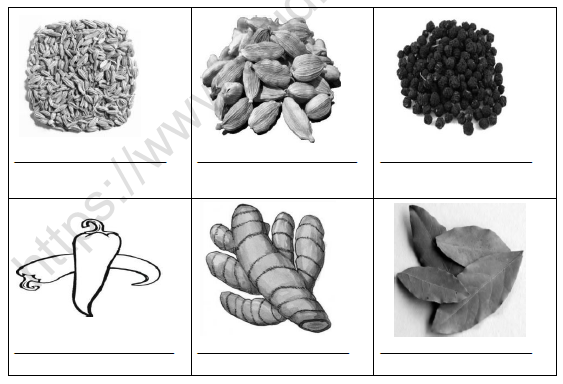 CBSE Class 4 EVS Spicy Ridddles Worksheet 