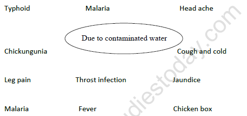 CBSE Class 4 EVS Too Much Water too Little Water Worksheet