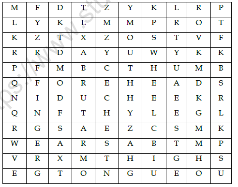 CBSE Class 4 English Noses Worksheet