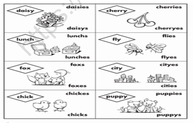 CBSE Class 4 English The Little Fir Tree Worksheet