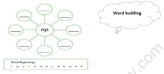 CBSE Class 4 English Why Worksheet