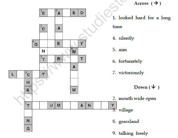 CBSE Class 4 English Why Worksheet