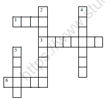 CBSE Class 5 EVS Every Drop Counts Worksheet