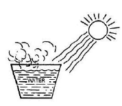 CBSE Class 5 EVS Experiments with Water Worksheet 