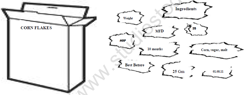 CBSE Class 5 EVS Mangoes Round the Year Worksheet 