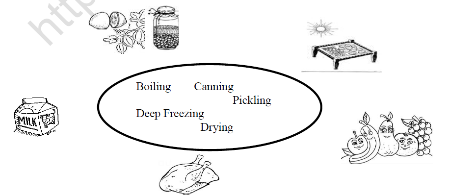 CBSE Class 5 EVS Mangoes Round the Year Worksheet 