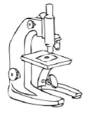 CBSE Class 5 EVS Treat for Mosquitoes Worksheet