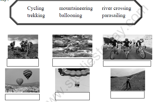 CBSE Class 5 EVS Up You Go Worksheet