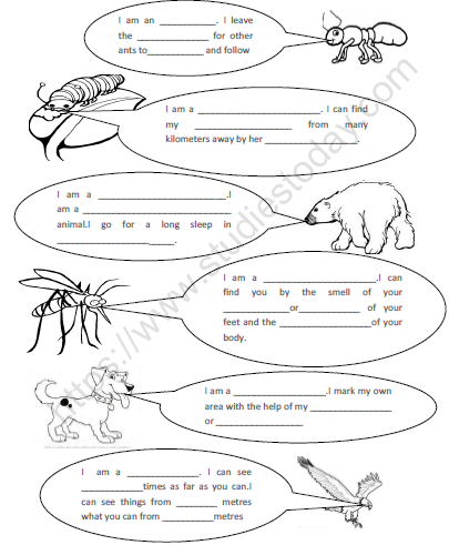 CBSE Class 5 EVS super senses Worksheet 