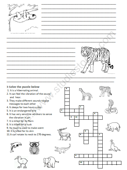 CBSE Class 5 EVS super senses Worksheet 