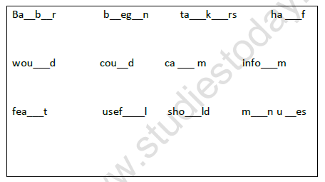 The Little Bully Class 5 Notes CBSE English Chapter 8 [PDF]