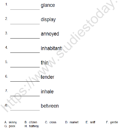 CBSE Class 5 English Topsy Turvy Worksheet