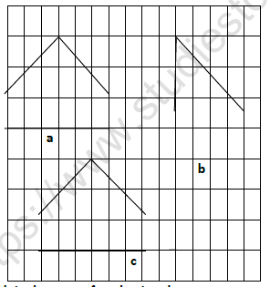 CBSE Class 5 Maths How Many Squares Worksheet