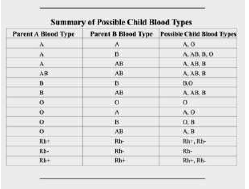 CBSE_ Class_12_Biology_12