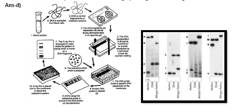 CBSE_ Class_12_Biology_15