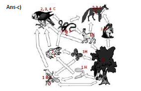 CBSE_ Class_12_Biology_17