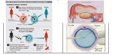 CBSE_ Class_12_Biology_1