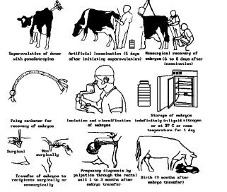 CBSE_ Class_12_Biology_23