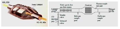 CBSE_ Class_12_Biology_25