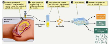 CBSE_ Class_12_Biology_6