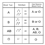 CBSE_ Class_12_Biology_7