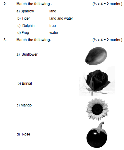 CBSE Class 1 EVS Sample Paper Set B 1