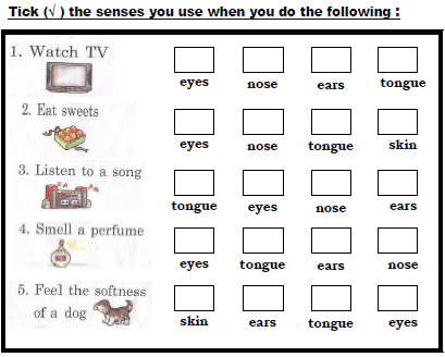 CBSE Class 1 EVS Sample Paper Set D 1