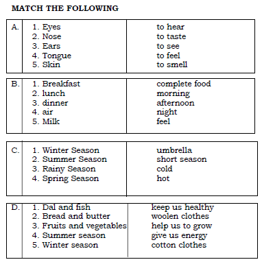 Class 1 EVS - Syllabus Overview 