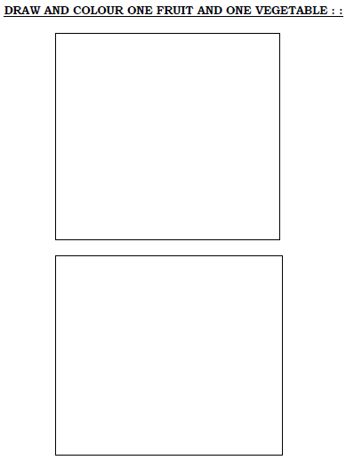 CBSE Class 1 EVS Sample Paper Set D