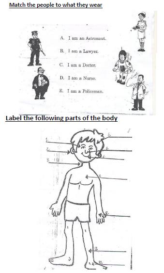 CBSE Class 1 EVS Sample Paper Set E