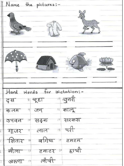 CBSE Class 1 Hindi Sample Paper Set E