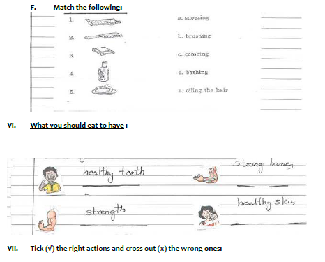 CBSE Class 2 EVS Sample Paper Set K