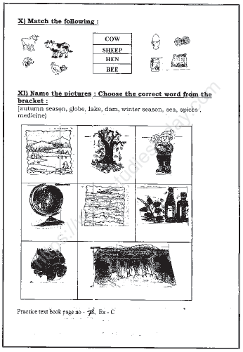CBSE Class 2 EVS Sample Paper Set M