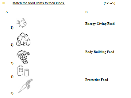 CBSE_Class_2_EVS_Sample_Paper_Set_N_1